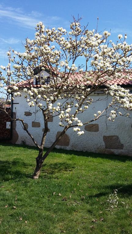 فندق Casa Da Quinta De S. Martinho فيلا ريال المظهر الخارجي الصورة